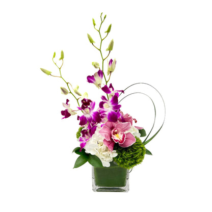 Elegant arrangement of purple and white orchids with greenery in a modern glass vase. Perfect for any occasion.